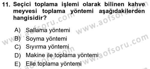 İçecek Bilgisi Dersi 2021 - 2022 Yılı (Vize) Ara Sınav Soruları 11. Soru