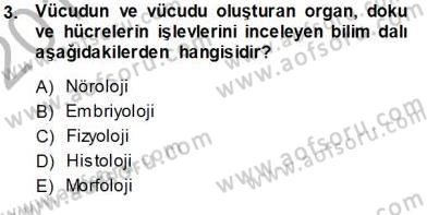 İnsan Anatomisi Ve Fizyolojisi Dersi 2013 - 2014 Yılı (Vize) Ara Sınav Soruları 3. Soru