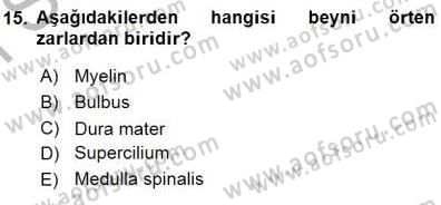 İnsan Anatomisi Ve Fizyolojisi Dersi 2015 - 2016 Yılı (Final) Dönem Sonu Sınav Soruları 15. Soru