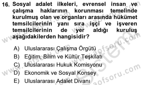 İnsan Hakları Ve Kamu Özgürlükleri Dersi 2021 - 2022 Yılı (Vize) Ara Sınav Soruları 16. Soru