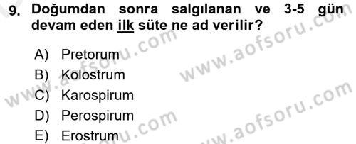 Beslenmenin Temel İlkeleri Dersi 2017 - 2018 Yılı 3 Ders Sınav Soruları 9. Soru