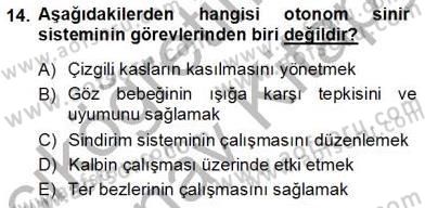 İnsan Anatomisi Ve Fizyolojisi Dersi 2012 - 2013 Yılı (Vize) Ara Sınav Soruları 14. Soru