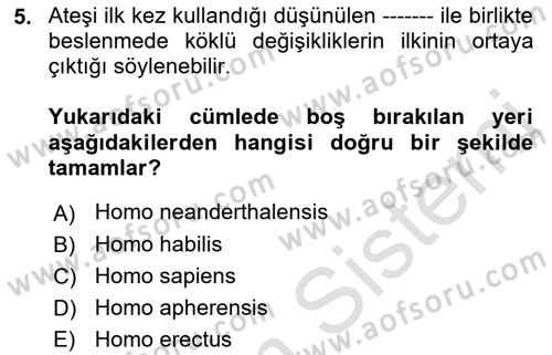 Gastronomi Tarihi Dersi 2018 - 2019 Yılı 3 Ders Sınav Soruları 5. Soru