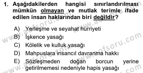 İnsan Hakları Ve Kamu Özgürlükleri Dersi 2021 - 2022 Yılı (Vize) Ara Sınav Soruları 1. Soru