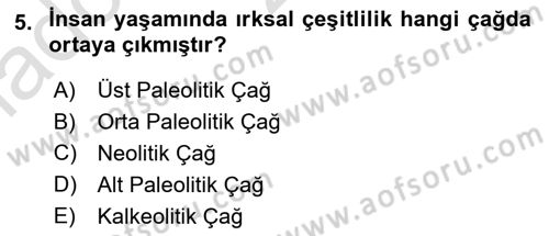 Anadolu Arkeolojisi Dersi 2024 - 2025 Yılı (Vize) Ara Sınav Soruları 5. Soru