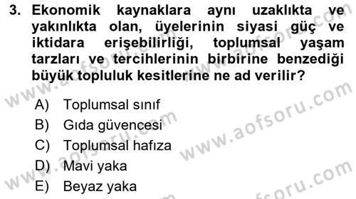Yemek Sosyolojisi Dersi 2021 - 2022 Yılı Yaz Okulu Sınav Soruları 3. Soru