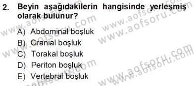 İnsan Anatomisi Ve Fizyolojisi Dersi 2012 - 2013 Yılı (Vize) Ara Sınav Soruları 2. Soru