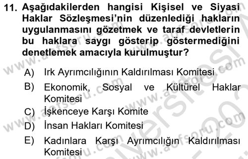 İnsan Hakları Ve Kamu Özgürlükleri Dersi 2023 - 2024 Yılı (Vize) Ara Sınav Soruları 11. Soru