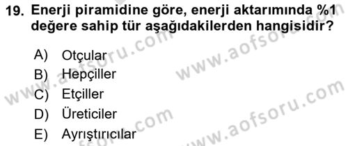 Gastronomi Ve Sürdürülebilirlik Dersi 2024 - 2025 Yılı (Final) Dönem Sonu Sınav Soruları 19. Soru