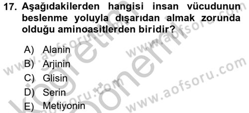 Beslenmenin Temel İlkeleri Dersi 2016 - 2017 Yılı (Vize) Ara Sınav Soruları 17. Soru
