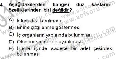 İnsan Anatomisi Ve Fizyolojisi Dersi 2013 - 2014 Yılı (Final) Dönem Sonu Sınav Soruları 4. Soru