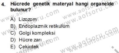 İnsan Anatomisi Ve Fizyolojisi Dersi 2013 - 2014 Yılı (Vize) Ara Sınav Soruları 4. Soru