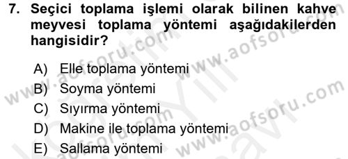 İçecek Bilgisi Dersi 2017 - 2018 Yılı (Vize) Ara Sınav Soruları 7. Soru