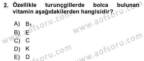 Beslenmenin Temel İlkeleri Dersi 2018 - 2019 Yılı (Vize) Ara Sınav Soruları 2. Soru