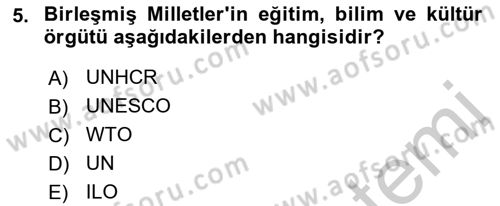 Göç Ve Göçmen Sorunları Dersi 2018 - 2019 Yılı Yaz Okulu Sınav Soruları 5. Soru