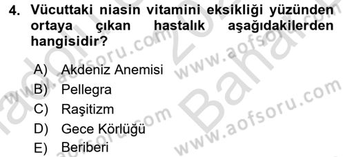 Beslenmenin Temel İlkeleri Dersi 2024 - 2025 Yılı (Vize) Ara Sınav Soruları 4. Soru