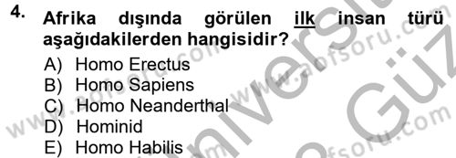 Anadolu Arkeolojisi Dersi 2012 - 2013 Yılı (Vize) Ara Sınav Soruları 4. Soru