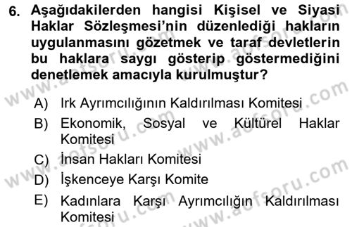 İnsan Hakları Ve Kamu Özgürlükleri Dersi 2018 - 2019 Yılı 3 Ders Sınav Soruları 6. Soru