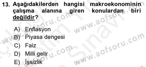Afet Ekonomisi Ve Sigortacılığı Dersi 2018 - 2019 Yılı (Vize) Ara Sınav Soruları 13. Soru