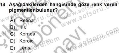 İnsan Anatomisi Ve Fizyolojisi Dersi 2015 - 2016 Yılı (Final) Dönem Sonu Sınav Soruları 14. Soru
