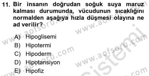 Arama Kurtarma Bilgisi ve Etik Değerler Dersi 2018 - 2019 Yılı 3 Ders Sınav Soruları 11. Soru
