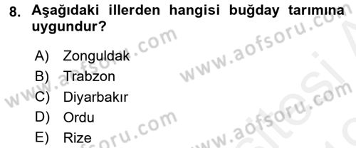 Gıda Coğrafyası Dersi 2018 - 2019 Yılı (Vize) Ara Sınav Soruları 8. Soru