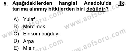 Anadolu Arkeolojisi Dersi 2015 - 2016 Yılı (Vize) Ara Sınav Soruları 5. Soru