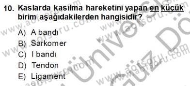 İnsan Anatomisi Ve Fizyolojisi Dersi 2013 - 2014 Yılı (Vize) Ara Sınav Soruları 10. Soru