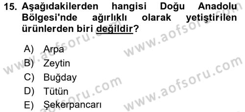 Yöresel Mutfaklar Dersi 2016 - 2017 Yılı (Vize) Ara Sınav Soruları 15. Soru