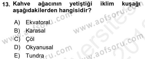 İçecek Bilgisi Dersi 2017 - 2018 Yılı (Vize) Ara Sınav Soruları 13. Soru