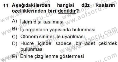 İnsan Anatomisi Ve Fizyolojisi Dersi 2014 - 2015 Yılı (Vize) Ara Sınav Soruları 11. Soru