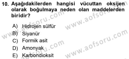 Arama Kurtarma Bilgisi ve Etik Değerler Dersi 2018 - 2019 Yılı (Final) Dönem Sonu Sınav Soruları 10. Soru