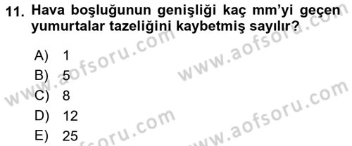 Beslenmenin Temel İlkeleri Dersi 2018 - 2019 Yılı 3 Ders Sınav Soruları 11. Soru
