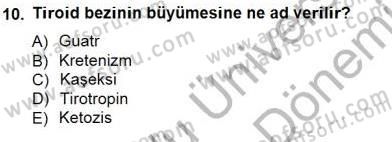 İnsan Anatomisi Ve Fizyolojisi Dersi 2012 - 2013 Yılı (Final) Dönem Sonu Sınav Soruları 10. Soru
