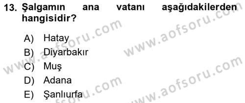 İçecek Bilgisi Dersi 2023 - 2024 Yılı Yaz Okulu Sınav Soruları 13. Soru