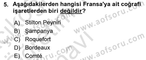 Yemek Sosyolojisi Dersi 2022 - 2023 Yılı Yaz Okulu Sınav Soruları 5. Soru