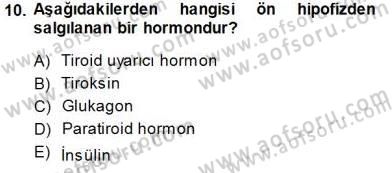 İnsan Anatomisi Ve Fizyolojisi Dersi 2013 - 2014 Yılı (Final) Dönem Sonu Sınav Soruları 10. Soru