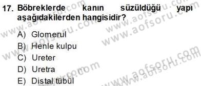 İnsan Anatomisi Ve Fizyolojisi Dersi 2013 - 2014 Yılı (Final) Dönem Sonu Sınav Soruları 17. Soru