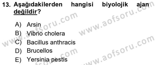Arama Kurtarma Bilgisi ve Etik Değerler Dersi 2018 - 2019 Yılı 3 Ders Sınav Soruları 13. Soru