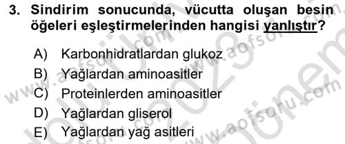 Beslenmenin Temel İlkeleri Dersi 2023 - 2024 Yılı (Final) Dönem Sonu Sınav Soruları 3. Soru