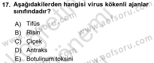 Arama Kurtarma Bilgisi ve Etik Değerler Dersi 2023 - 2024 Yılı (Final) Dönem Sonu Sınav Soruları 17. Soru