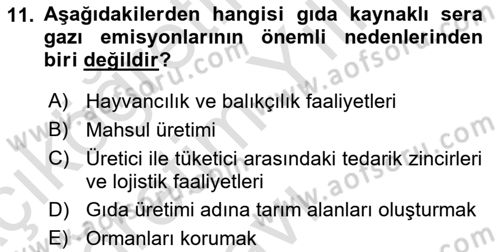 Sürdürülebilir Kentsel Dayanıklılık Dersi 2023 - 2024 Yılı Yaz Okulu Sınav Soruları 11. Soru