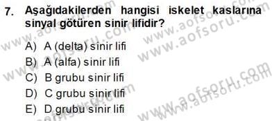 İnsan Anatomisi Ve Fizyolojisi Dersi 2013 - 2014 Yılı (Final) Dönem Sonu Sınav Soruları 7. Soru