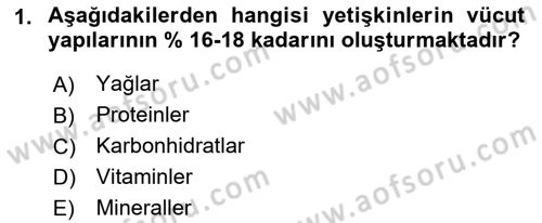 Beslenmenin Temel İlkeleri Dersi 2018 - 2019 Yılı (Vize) Ara Sınav Soruları 1. Soru