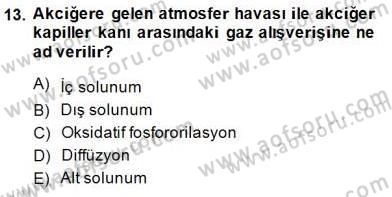 İnsan Anatomisi Ve Fizyolojisi Dersi 2014 - 2015 Yılı (Final) Dönem Sonu Sınav Soruları 13. Soru
