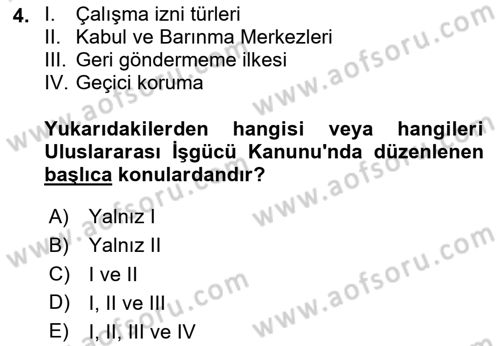 Göç Ve Göçmen Sorunları Dersi 2024 - 2025 Yılı (Vize) Ara Sınav Soruları 4. Soru