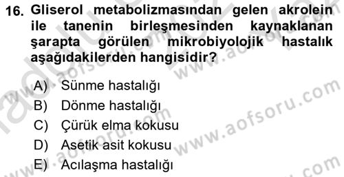 İçecek Bilgisi Dersi 2021 - 2022 Yılı Yaz Okulu Sınav Soruları 16. Soru