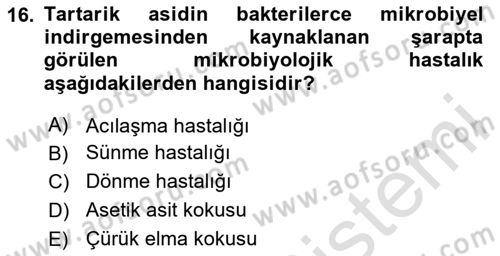 İçecek Bilgisi Dersi 2020 - 2021 Yılı Yaz Okulu Sınav Soruları 16. Soru