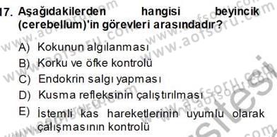 İnsan Anatomisi Ve Fizyolojisi Dersi 2013 - 2014 Yılı (Vize) Ara Sınav Soruları 17. Soru