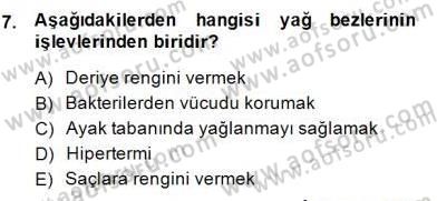 İnsan Anatomisi Ve Fizyolojisi Dersi 2014 - 2015 Yılı (Final) Dönem Sonu Sınav Soruları 7. Soru